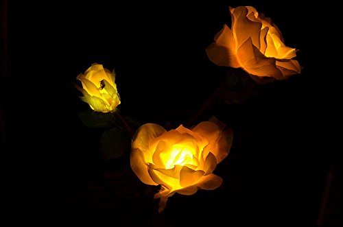 Solaration 1039-Y Waterproof 3 Rose Solar Powered Led Garden Lights, Solar Path Lights For Patio Deck Driveway Christmas Party, Yellow #TOP2