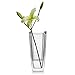 Mikasa Baron Crystal Vase, 11.75 Inch