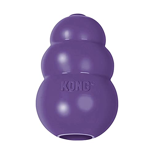 Juguetes Perros Kong Puppy Marca Tetra