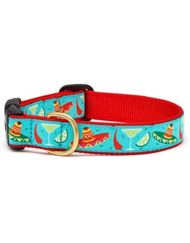 Up Country Cinco De Mayo Pattern Dog Collars and Leashes (Cinco De Mayo Dog Collar, Large (15 to 21 inches) 1 Inch Wide Width)