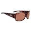 Shiny Tort / Copper Lens