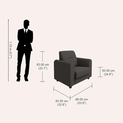 Image of Interio by Godrej Sofa Aspire 1 Seater Fabric Sofa for Living Room, 1-Year Warranty, Solid Wood, Graphite Grey
