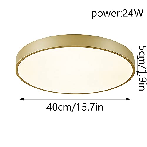 Plafonnier LED Facile à Installer : Fini les Luminaires Complexes 40cm