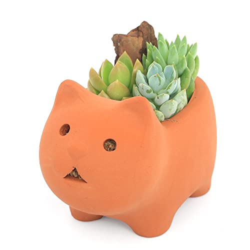 ycharmziϗtAjR񂹐A Aj}eRb^ lRiPj kC~Gs