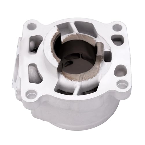 Cilindro de 39,5mm para GASGAS MC50 y SX50 recambio original motor 45230038000