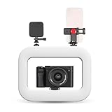 Annadue Smartphone Video Rig mit Licht, Wiederaufladbarer Handy...