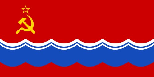 Drapeau RSS pour reconstitution historique et collectionneur taille XL - 2