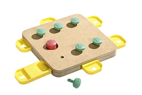 APS Kühlbox / Basis 52 x 32 cm, H: 5,5 cm APS Kühlbox / Basis 52 x 32 cm, H: 5,5 cm