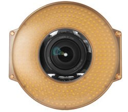 Bague à LED 5600 K Gowe R-300 pour éclairage continu vidéo et film
