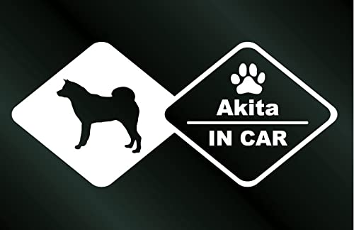 ̃XebJ[ Hc IN CAR DOG  V[
