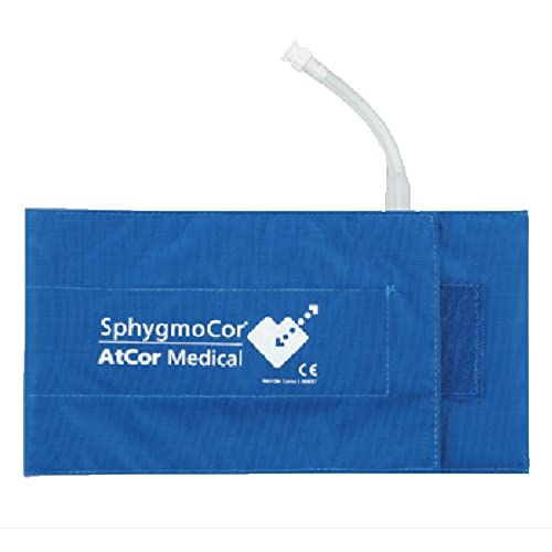 A��D ��ړ����p�J�t AX-XC-1-00897