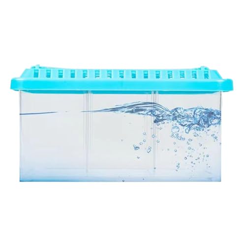 Pequeña pecera Betta, Acuario Betta - Peceras con divisores extraíbles | Kit de iniciación de Acuario Ornamental con diseño de múltiples Compartimentos para pecera pequeña para el hogar