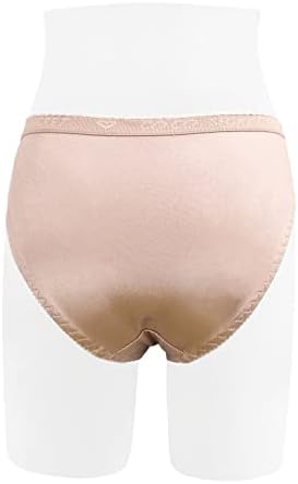Peachy Panty 6 Pack Satin Shine Full Coverage Women's Panties Smooth Soft Nylon