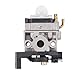 Buckbock 16100-Z0H-825 Carburetor for Honda GX25 GX25N GX25NT FG110 HHT25S 4 Cycle Engine Mantis 4 Stroke Tiller Replace 16100-Z0H-053 16100-Z0Z-034 16100-Z0H-824