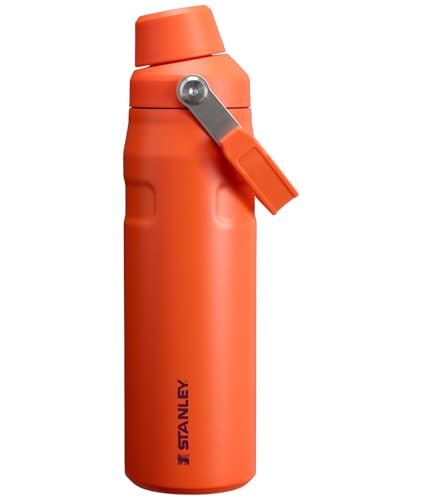 Image of Stanley IceFlow Fast Flow Water Bottle | Angled Spout Lid | Lightweight & Leakproof for Travel & Sports | Insulated Stainless Steel | BPA-Free