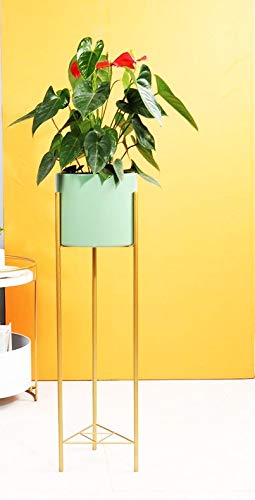Weston Crafts Metal Plant Stand Flower G I Pot Holder Tall Modern Plant Stands Outdoor Indoor Garden Balcony, Golden Stand, Light Green Pot,Powder Coated (B08HXWQWBL) Amazon Price History, Amazon Price Tracker