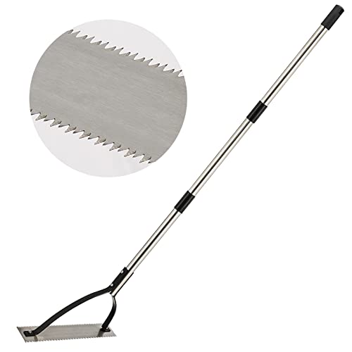 Best Weed Cutters And Grass Whips To Keep Your Lawn Looking Perfect