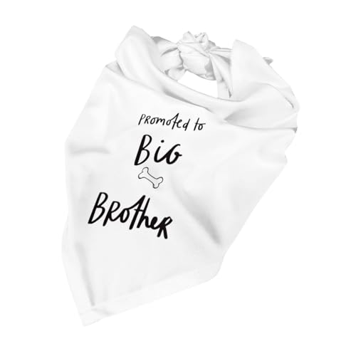 vercosee Promoção para Big Brother Bandana para cães, reversível, acessórios para fotos, presente pa