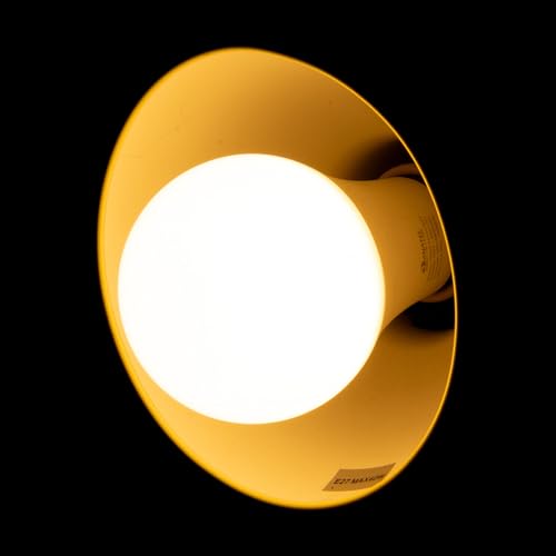 EKAZA Lâmpada Inteligente RGB, 16 milhões de cores, Wi-Fi, Compatível com Amazon Alexa e Google Assi