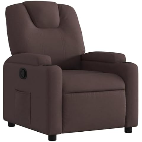 Fauteuil inclinable vidaXL Marron Cover