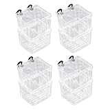 TOYZFRIENDY 4 Stück Aquarium Brutkasten mit Saugnäpfen Transparente Doppellagige Fisch isolationsbox für Guppy Betta Garnelen und Clownfish Schwimmender Fischaufzuchtbehälter für Effektive