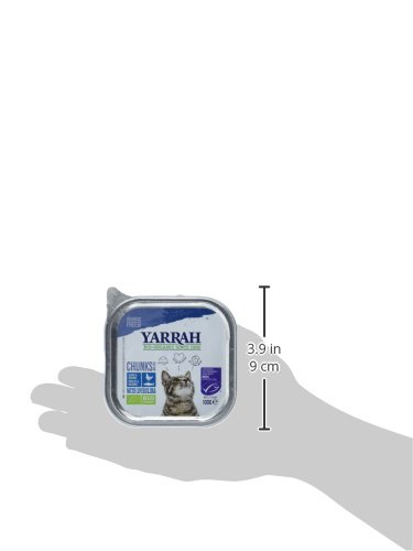 Yarrah Bröckchen Fisch 100g Bio Katzenfutter, 16er Pack (16 x 0.1 kg)