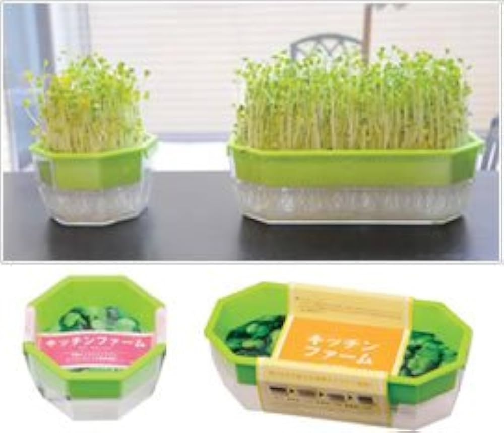 あや様1/31まで取り置き(スプラウト) Amazon | ブロッコリースプラウト（種）40ml 3袋セット | 野菜