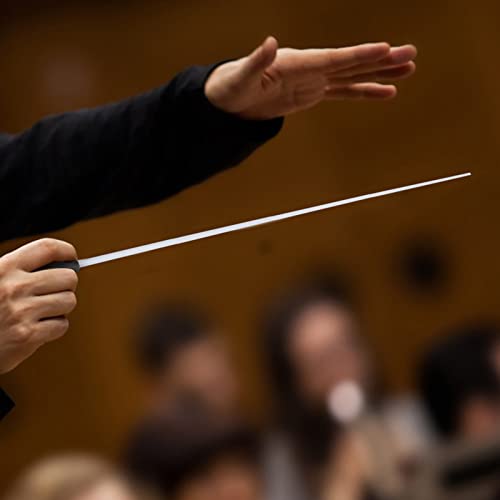 image for Walfront Music Conductor Baton Professional Fibre Glass Orchestra Cond