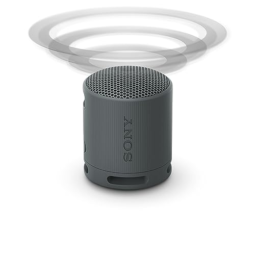 Sony SRS-XB100 Wireless Bluetooth Portable Lightweight Super-Compact Travel Speaker, Extra-Durable IP67 Waterproof & Dustproof, 16 Hrs Batt, Versatile Strap, Extra Bass & Hands-Free Calling-Black 10 313vakuWaAL