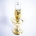 Aladdin Brass Table Oil Lamp, Solid Brass Indoor Emergency Lighting Fuel Table Lamp, Brass Bowl and Burner