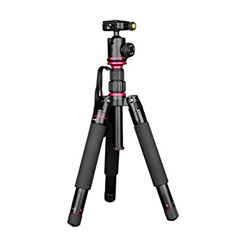 FEANG 59-Zoll-Stativ for Kamera, leichtes Aluminium-Stativmonopod mit 360 Grad Kugelkopf und Tragetasche for Reisen und…