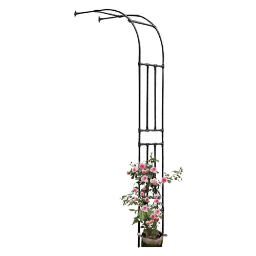 Arche de jardin demi-latérale pour sublimer votre arrière-cour avec des rosiers grimpants