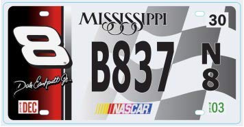 Set di 10 targhe automobilistiche USA in Metallo