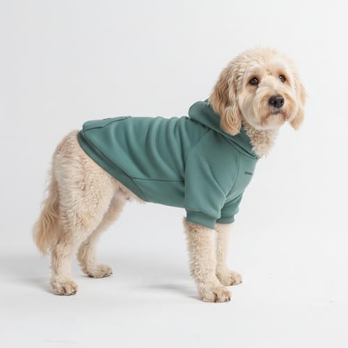 Spark Paws Hunde-Kapuzenpullover – Premium-Qualität, butterweich, hervorragender Komfort und Passform, beruhigende Fleece-Innenseite, geeignet für alle Rassen - Teal - 2XL