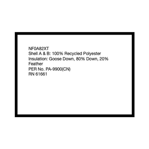 The North Face Kids Boy's Gotham Down Jacket (Little Kids/Big Kids)4