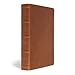 CSB Men's Daily Bible, Brown Genuine Leather, Indexed, Black Letter, Reading Plan, Articles, Callouts, Study Tools, Easy-to-Read Bible Serif Type