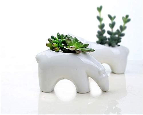 Polar BearCeramic Plant Flower Pots Home Office Decor Planter (1, Polar Bear)
