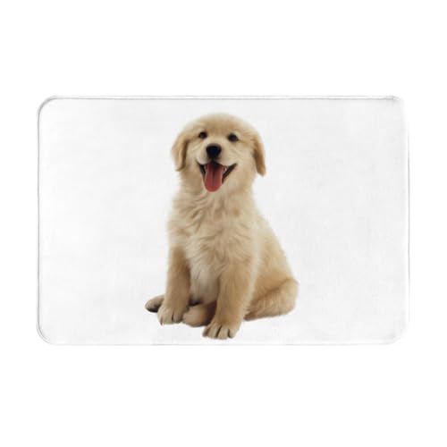 ���փ}�b�g �� ���� ���� ���O ����~�� �􂦂� �k���� �t�����l�� �z������ �h�L �R�� ���� ������� 40×60cm �o�X�}�b�g �L�b�`���}�b�g