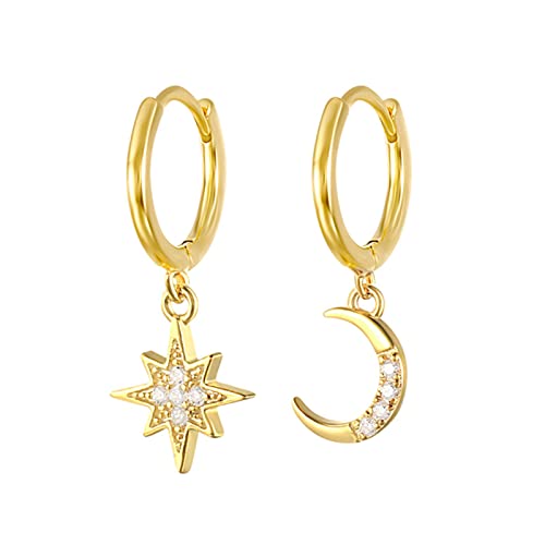 Boucle d'oreille zircon cubique cactus en argent anti-allergie pour femme