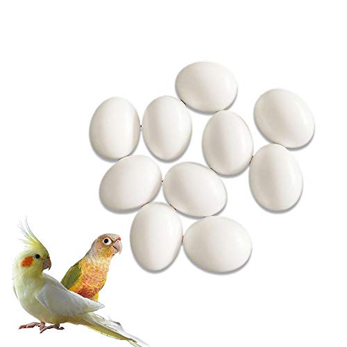 kio 8pcs Plastic Eggs Simulated Bird Eggs,Solid Parrot Cockatiel Dummy Eggs Hatching Eggs Green Cheek,Trick Birds to Stop Laying Eggs, Bird Supplies, for Lorikeet&Ringneck Dove, Quaker(2621mm)