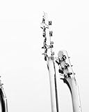  guitar tabs