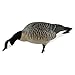 Avian X AXP Honkers Fusion Pack Lesser Canada Goose Decoys, Oversized Realistic Feeder Bodies, Flocked Heads, and Slotted Decoy Bag, Set of 6