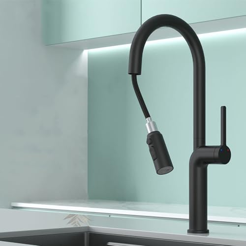Robinet de cuisine avec pulvérisateur en finition brossée durable et design
