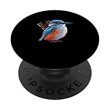 Kingfisher Design
