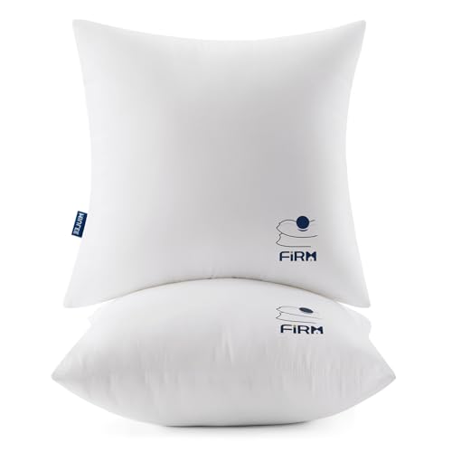 MIULEE 18x18 Throw Pillow Inserts Set of 2, Decorative Throw Pillows for Couch Sofa Bed, 100% Virgin Fiber Filling