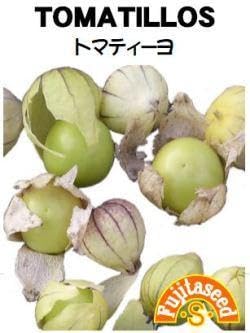 ＜野菜の種＞食用ほおずき トマティーヨ ３０粒 ほうずきのサムネイル