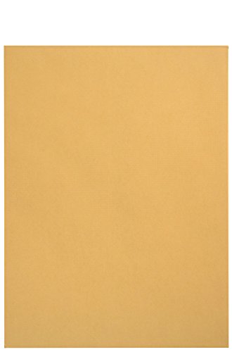 100-6-x-9-Self-Seal-Golden-Brown-Kraft-Catalog-Envelopes-Oversize-6-x-9-Envelope-Peel-and-Seal-Flap-with-28-Pound-Kraft-Paper-Envelopes-Printer-Friendly-Design-100-Count