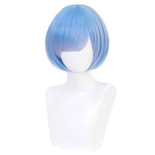 HIROAKIYA レム ウィッグ Re ゼロから始める異世界生活 レム コスプレ ウィッグ ウィッグネット付きの商品画像（Amazon）