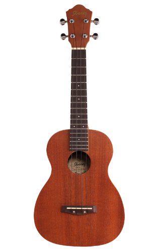 Ibanez Ukc10 Concert Ukulele W/ Gigbag #TOP18