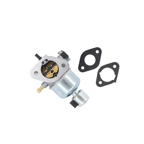 Carburador de repuesto MIA10591 para reparar el arranque de motores X300